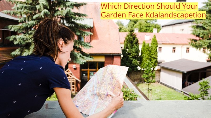 Which Direction Should Your Garden Face Kdalandscapetion