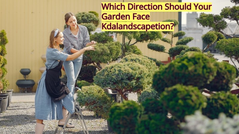 Which Direction Should Your Garden Face Kdalandscapetion?