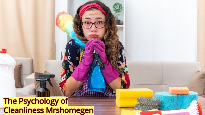 The Psychology of Cleanliness Mrshomegen