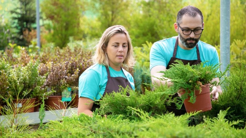 Trusted Plantation Management Services for Responsible Landowners