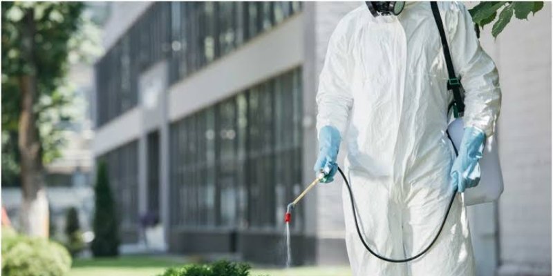 Tom's Pest Control Adelaide: What to Do When Pest Signs Appear