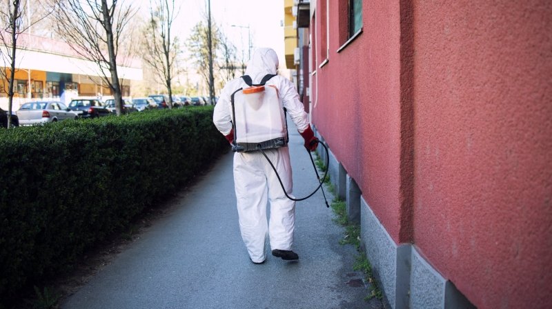 Protecting Brisbane Properties from Termites and German Cockroaches