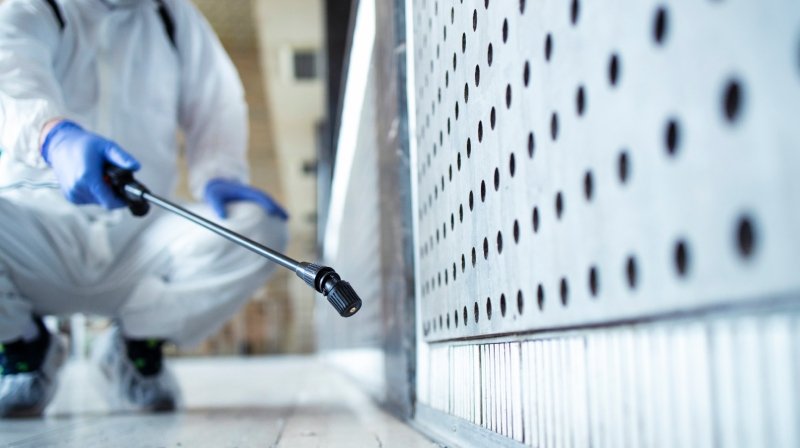 Tom's Pest Control Adelaide: What to Do When Pest Signs Appear
